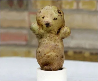 Quelle patate cet animal !