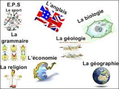 Dans quelle matière es-tu la plus forte ?