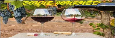 Vin et terroir ~ Girondin pour un vignoble de coteaux.