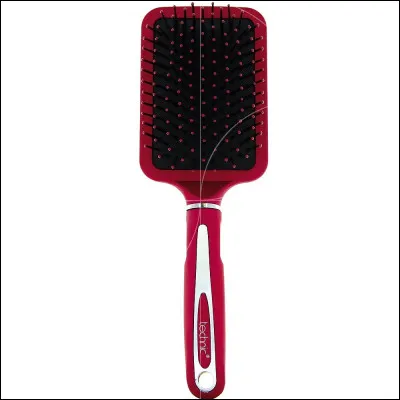 Quelle est la première brosse ?