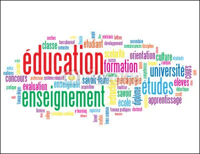 Dans quel article le "droit à un enseignement de base" est-il développé ?