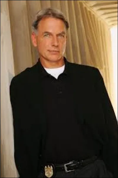 Comment s'appelle l'acteur qui incarne Leroy Jethro Gibbs dans la série "NCIS : Enquêtes spéciales" ?