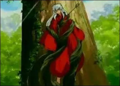 Pourquoi voit-on Inuyasha se scellant à un arbre avec une flèche, au début du manga ?