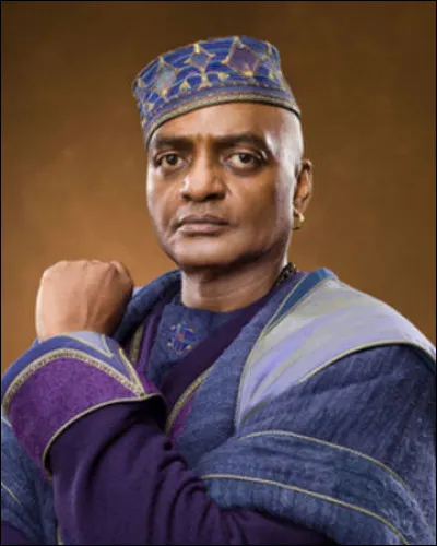 Quel est le Patronus de Kingsley Shacklebolt ?