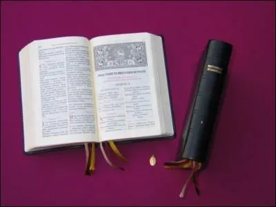 Comment appelle-t-on le livre o sont contenues l'ensemble des prires quotidiennes d'un religieux catholique, appel aussi 'Liturgie des Heures' ?