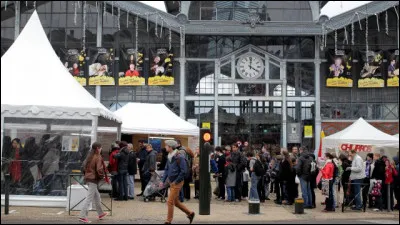 Laquelle de ces villes françaises est célèbre pour le "Festival International de la Bande Dessinée" ?