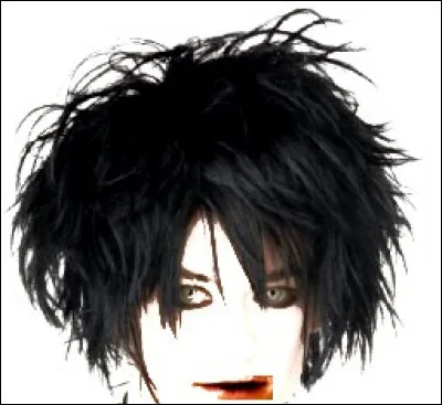 Le nombre de clichés entourant ce groupe [lequel ?] et ce style [ lequel ?] est incommensurable. David Bowie résuma un jour l'aura de son leader [qui ?] : "Très certainement l'un des plus originaux et talentueux de la scène rock de tous les temps"... C'est dire ! Mais c'est-à-dire ?