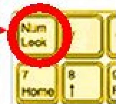 Il faut que la touche "Num Lock" ou verrouillage num&eacute;rique soit activ&eacute;e pour me servir du clavier num&eacute;rique.