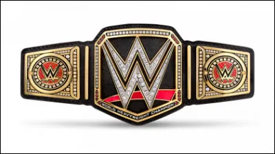 Qui est le plus souvent titré "Champion WWE" ?
