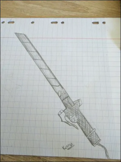 En quelle matière sont les lames ?