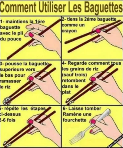 Que ne doivent pas faire les Japonais avec leur baguette &agrave; riz ?