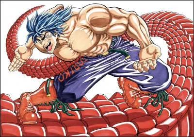 Comment s'appelle le collectionneur de recettes ? (Toriko)
