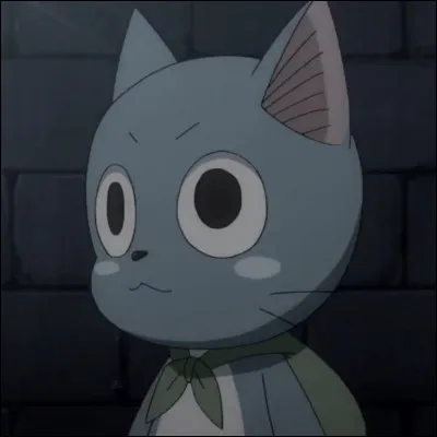 Comment s'appelle ce chat ?