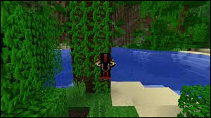 Quiz Minecraft