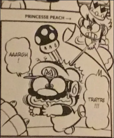 Est-ce que Mario sauve que la princesse Peach ?