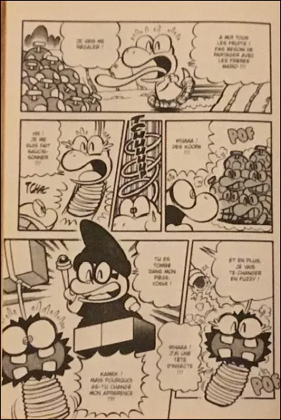 Comment Yoshi est-il tomb&eacute; dans le pi&egrave;ge de Kamek ?