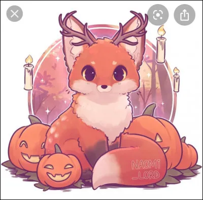 Quel côté tu préfères ?