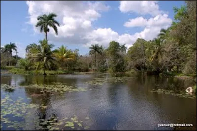 Quelle est cette baie de la côte cubaine qui fut en 1961 le théâtre d'un débarquement raté visant à renverser Fidel Castro ?