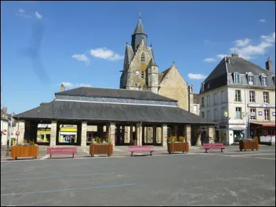 Mamers, petite ville de 5300 habitants, située dans le Saosnois à la limite du Perche, traversée par la Dive, est une sous-préfecture du département de ...