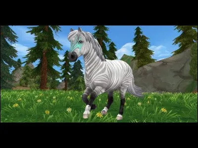 Quelle est la race de ce cheval ?