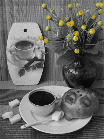 Dans quel pays est située la ville de Moka ?