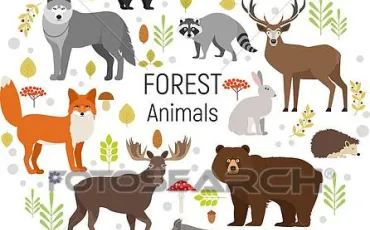 Quiz Animaux