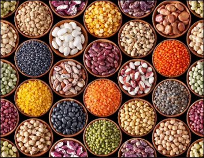 Les légumes secs : qu'est-ce que c'est ?