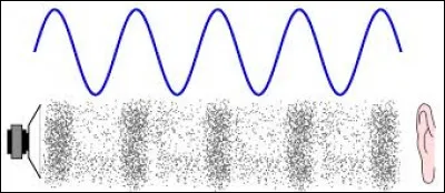 Qu'est-ce qui caractérise le timbre d'un son ?