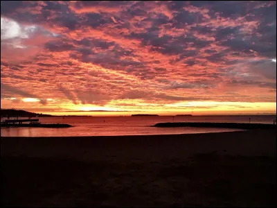 Le roman "Le Soleil se lève aussi" est le premier grand succès littéraire de...