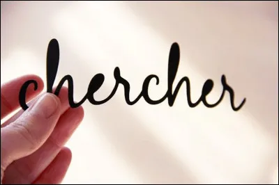 Lorsqu'on est tatillon, critique à l'excès. Quelle bête cherche-t-on ?