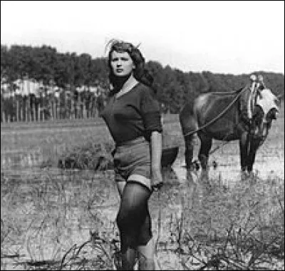 En trois lettres : on s'en nourrit. La voyelle est un ...