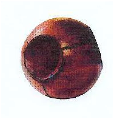 Comment s'appelle cette balle qui fait marquer des points à l'équipe ?