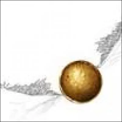 Comment s'appelle cette petite balle dorée qui vole très vite et qu'il faut attraper ?