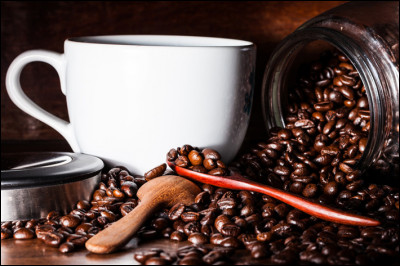 Dans quel pays a été découvert le café au 1er siècle ?