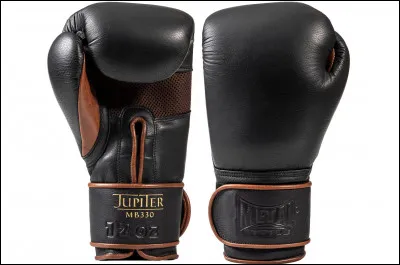 Quatre boules de cuir vous donneront la r&eacute;ponse !