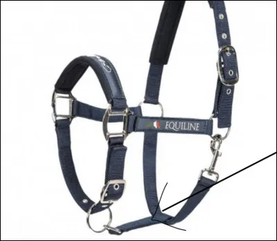 G2 : Comment s'appelle le montant qui tient l'anneau d'attache ?