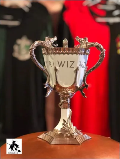 Quel est l'âge minimum pour concourir au "Tournoi des Trois sorciers ?