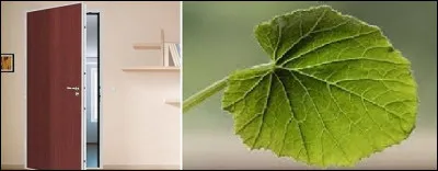 À quoi correspond le rébus ?