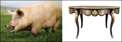 À quoi correspond le rébus ?