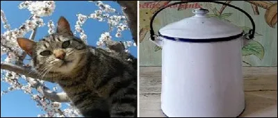 À quoi correspond le rébus ?