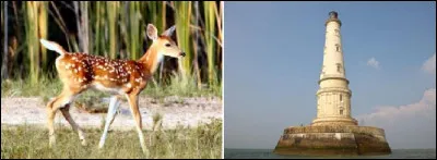 À quoi correspond le rébus ?