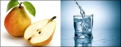 À quoi correspond le rébus ?