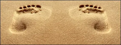 À quoi correspond le rébus ?