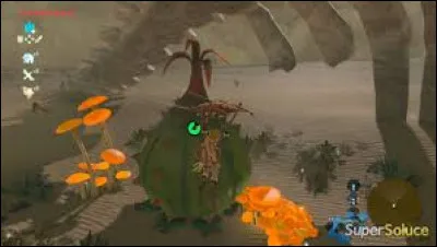 Quel est cet endroit ?