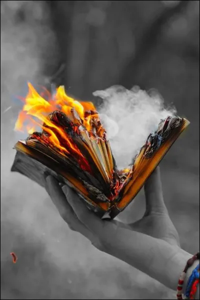 À quel écrivain doit-on le livre "Le Feu" ?