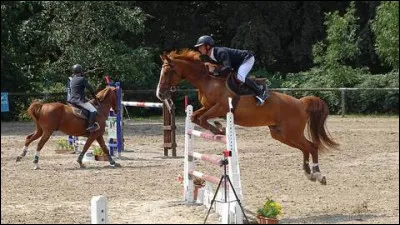 Cette position pour le saut est-elle correcte ?
