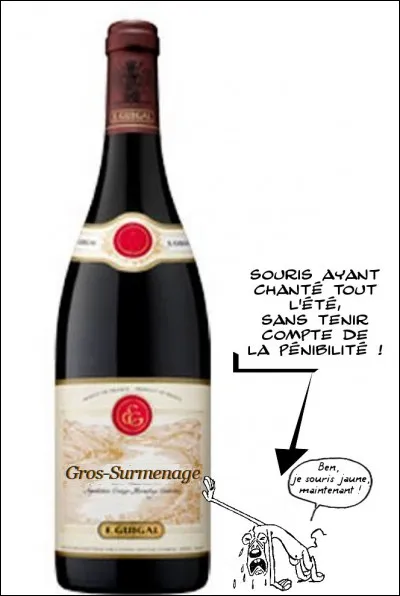 Un vin célèbre de la Drôme, en cépage syrah à 85 %... et qui vaut le détour !