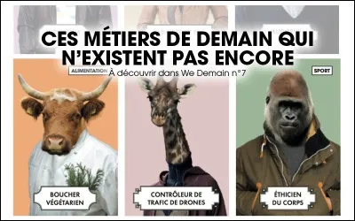 Dénichez le coyote rouge !