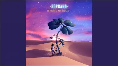 Lequel des 4 a déjà fait un duo avec N.I ?