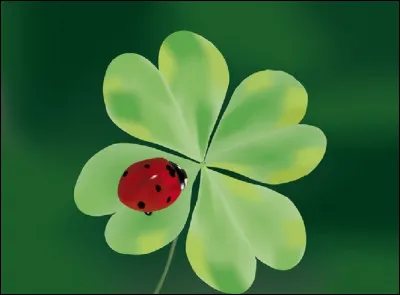 Avoir de la chance, c'est avoir quoi en langage familier ?